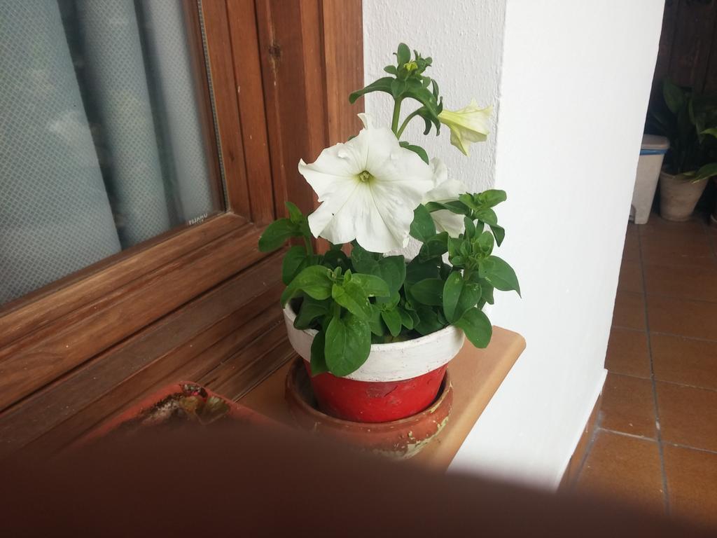 Balcon Del Velillos-"Rincon De Marcelo" Tozar Luaran gambar