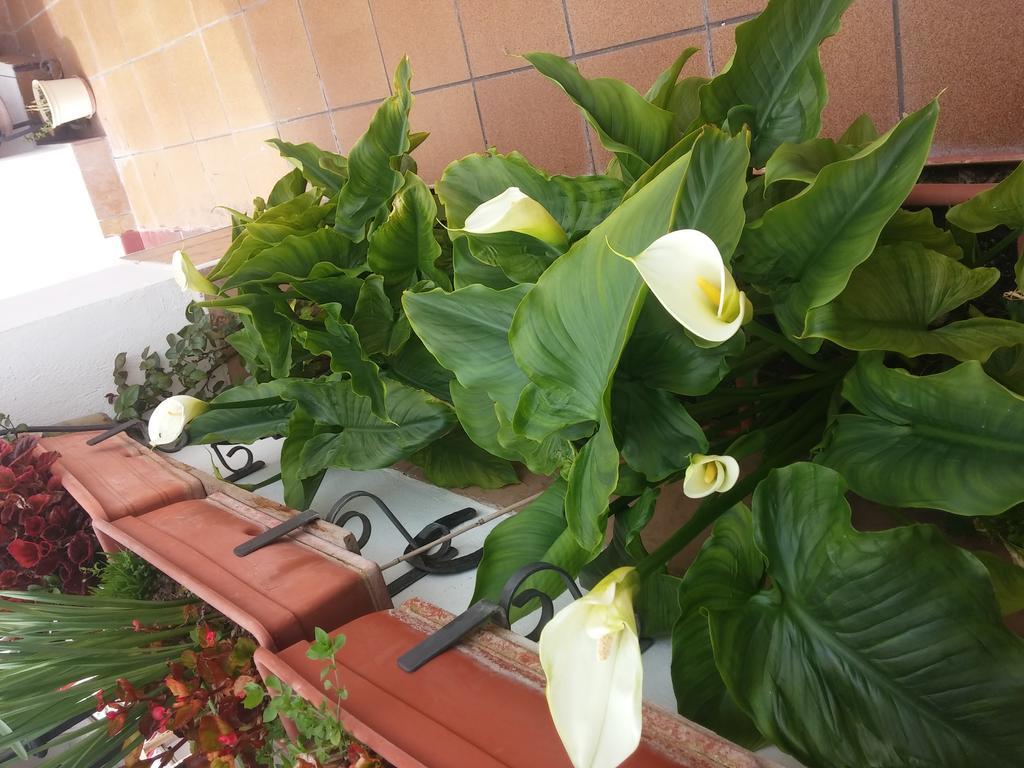 Balcon Del Velillos-"Rincon De Marcelo" Tozar Luaran gambar